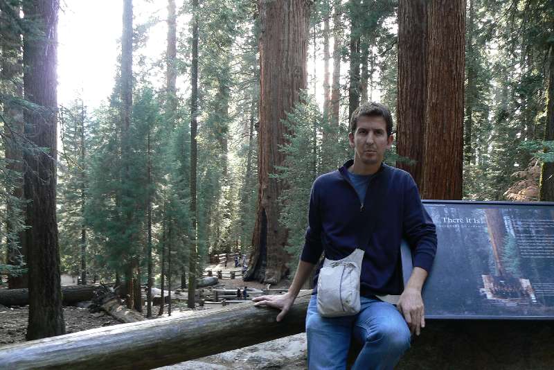 26 General Sherman tree SEQUOIA NATIONAL PARK